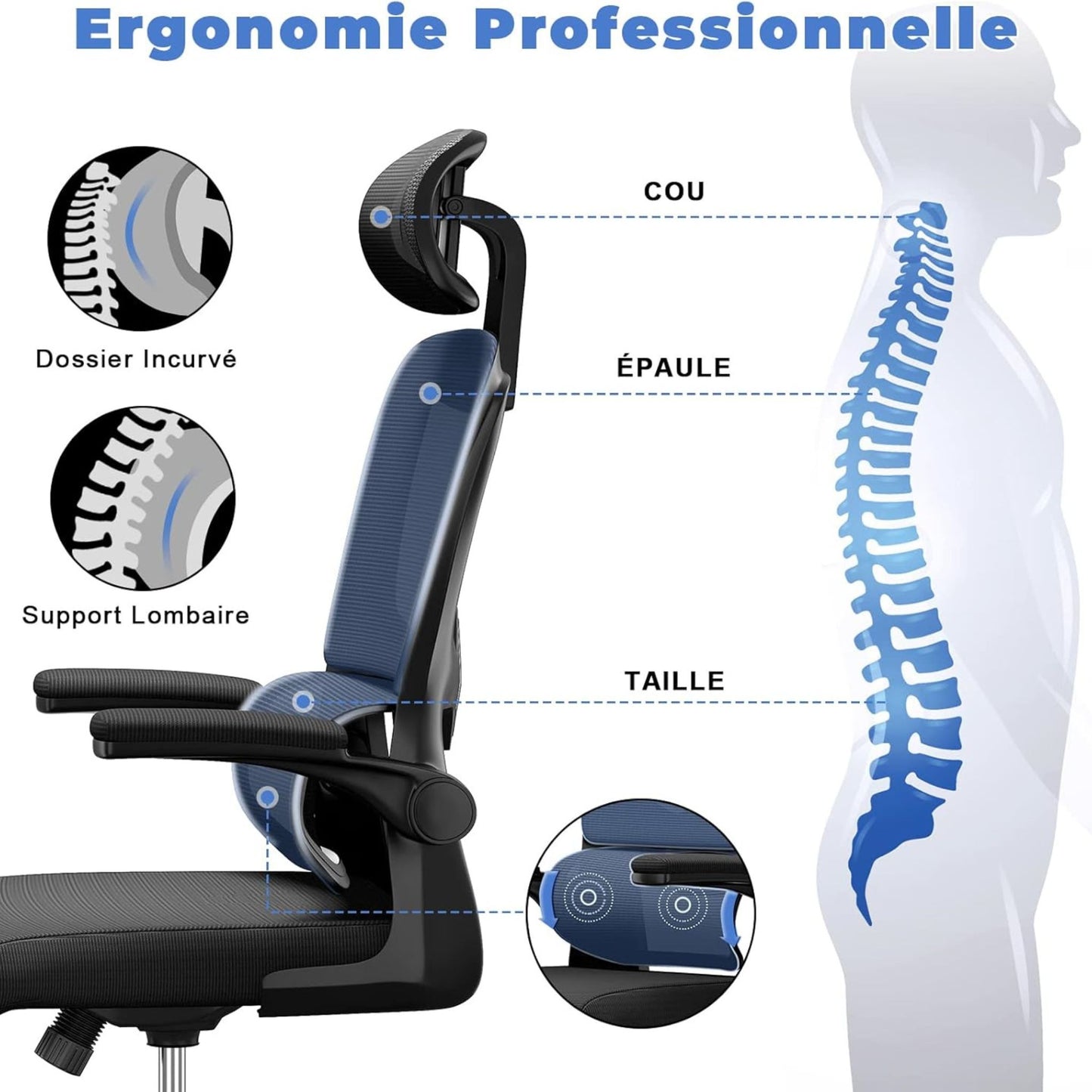 Schéma illustrant l'ergonomie professionnelle de la chaise OptiErgo pour le cou, les épaules et le dos.