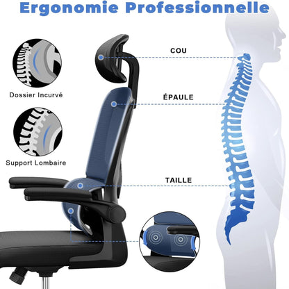 Schéma illustrant l'ergonomie professionnelle de la chaise OptiErgo pour le cou, les épaules et le dos.